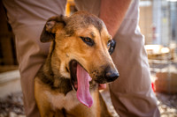 Kujo