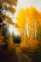 White River National Forest
