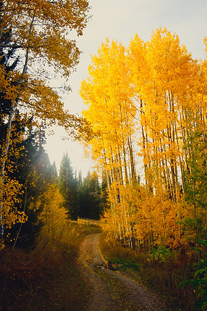 White River National Forest